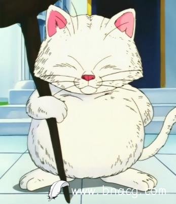 猫仙人