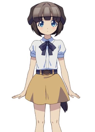 波奇