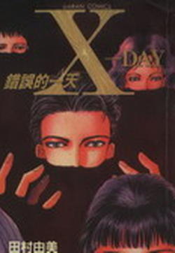 X-Day错误的一天的封面