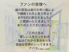 《在下坂本》《米奇与达利》漫画家 佐野
