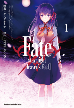 Fate/stay night [Heaven's Feel]的封面